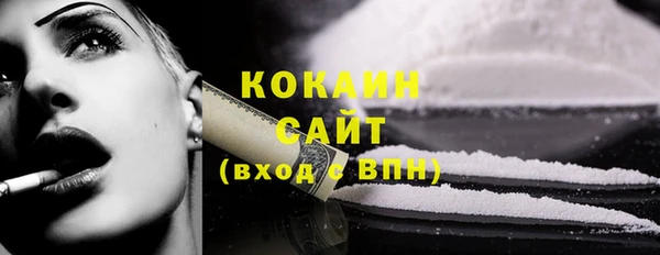 шишки Абаза